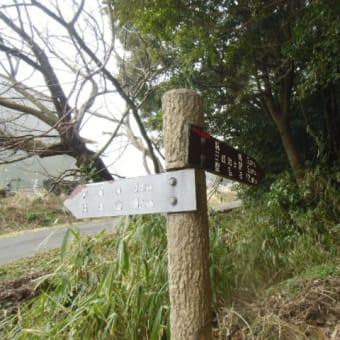 一応、三座縦走　？　（柚野山・竜王山・銀峯山：奈良県西吉野町）①