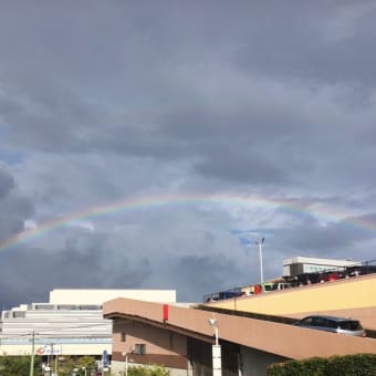 僕の気持ちは・・・