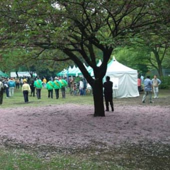 ◆「緑化フェア」で綾瀬の自然を考える