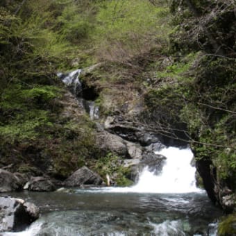 雨後の早川雨畑川の奥沢谷への釣行
