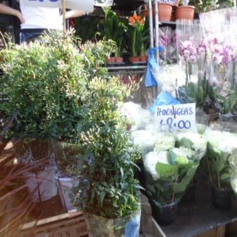 flower market