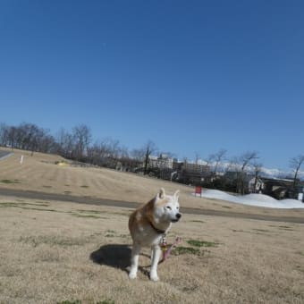 ご無沙汰しております。