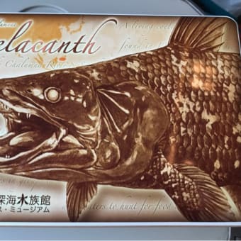 沼津に行ってきました