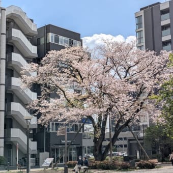 花田少年史 幽霊と秘密のトンネル - 森の中の一本の木