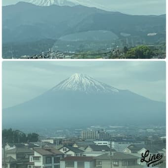ただいま〜