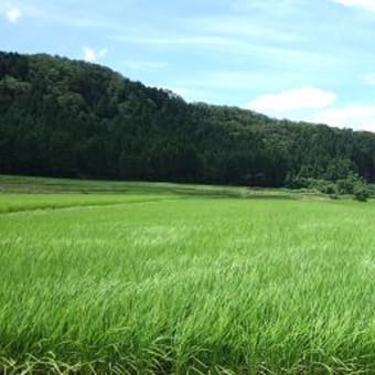 ああ、早い