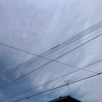 とらぷぅ💥情報＋天気6/6 世界大戦⁉️速報💦