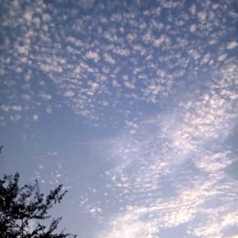 9月3日の本牧の空