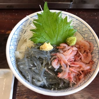 沼津に行ってきました