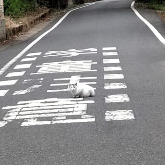 学童注意