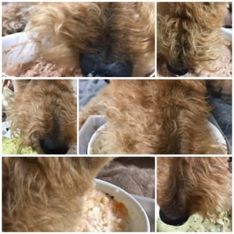 離乳食