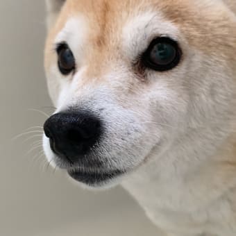 久々のお風呂