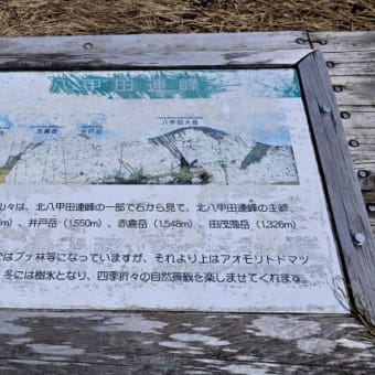 八甲田大岳に登ってきました（2024.05.04）
