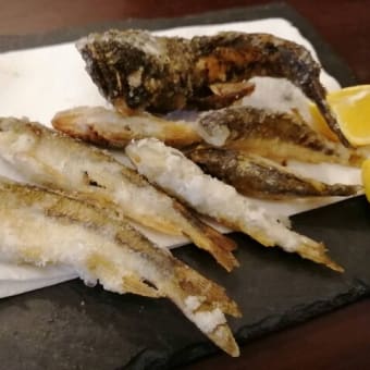 近所の小川でハエ釣り