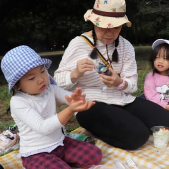 2歳児園外保育
