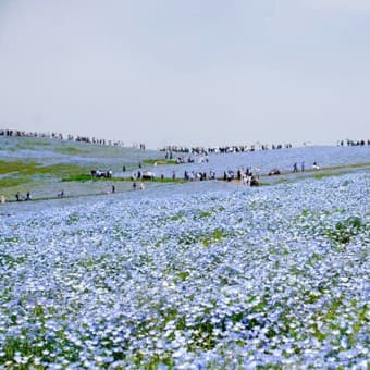 5月5日出かけることに