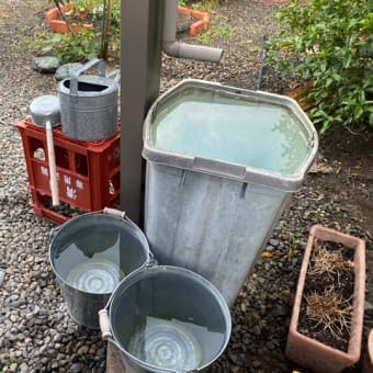 ローリングストック法って｜備蓄水 その後