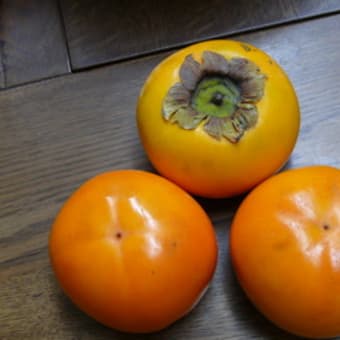 「会津みしらず柿」