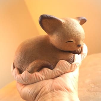 迷い猫のこと