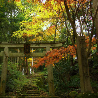 石馬寺（滋賀県）　其の３（最終回）　（2011年12月06日　火　晴　EOS5D EF24-105mmF4LIS）