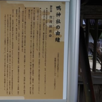 2025/06/28 午前中に一走　