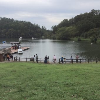 梅野哲の日常～お散歩日和～