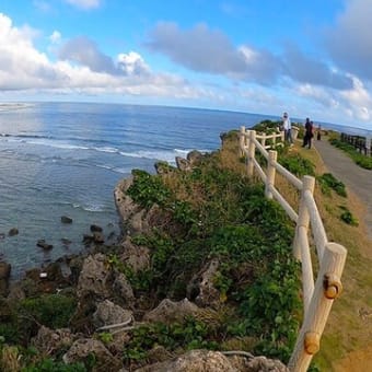 早春の南の島