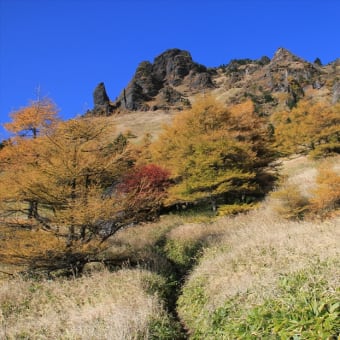 黒斑山で黄葉と星空を