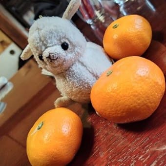 両家との新年会