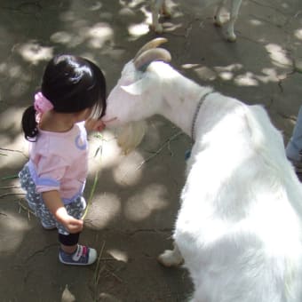 千葉市動物公園