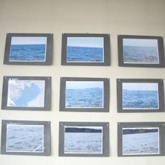 2011年9月23日（コアジサシと鯨・イルカ・スナメリの写真展）報告１
