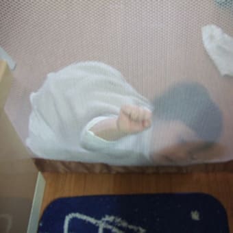台所にいれてよぉ～