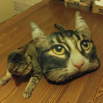 怖いんです・・・
