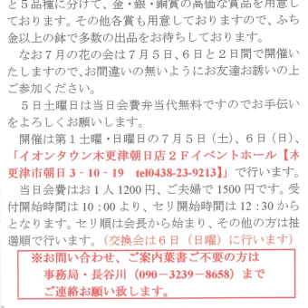 ７月５、６日に「花の展示会」、新富貴蘭研究会