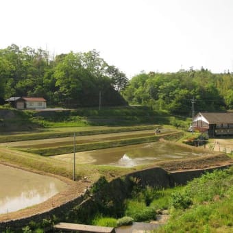 2727/~里山の集落にある木造校舎へ・・（Evening）
