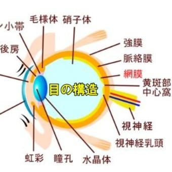 強膜炎