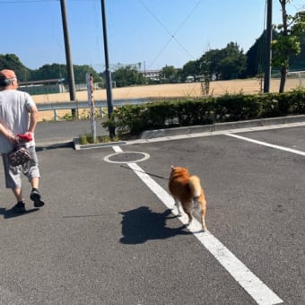 夢、小松セントラル・パークへ行く🩷