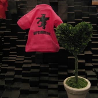 ***OPTIMISTIC 展示会***