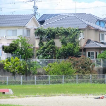 庭木の「剪定」か、「トトロの森」か？