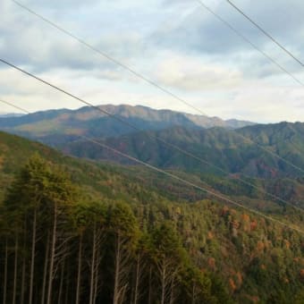 寒い寒い裏山歩き