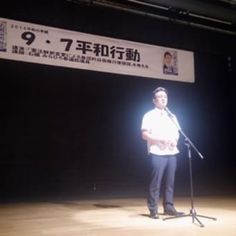 沖縄で集団的自衛権問題について講演