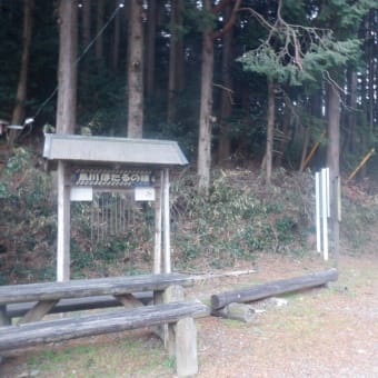 今日は愛知のお山で数稼ぎ