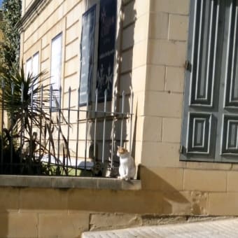 マルタ旅行番外編　１