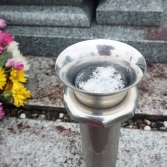 仕方なし、これも定め