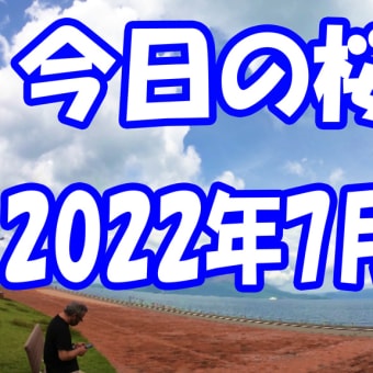 今日の桜島　2022年7月7日　鹿児島の風景