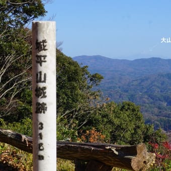 清水山、城平山（阿宮富士）、大平山～子三瓶山😃