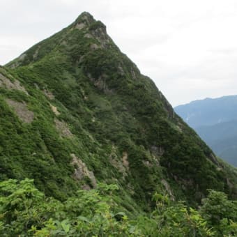 大源太山から七ツ小屋山を周回