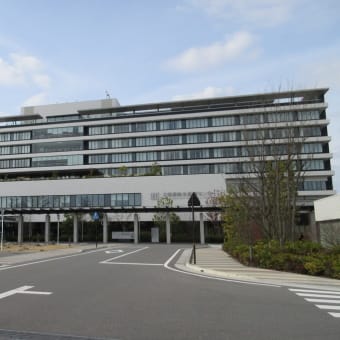 大雨だとか・・・