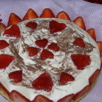 マーブルレアチーズケーキ（JAN.24.2009）
