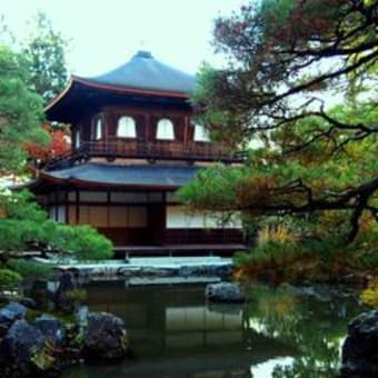 京都の紅葉と大混雑  その 2
